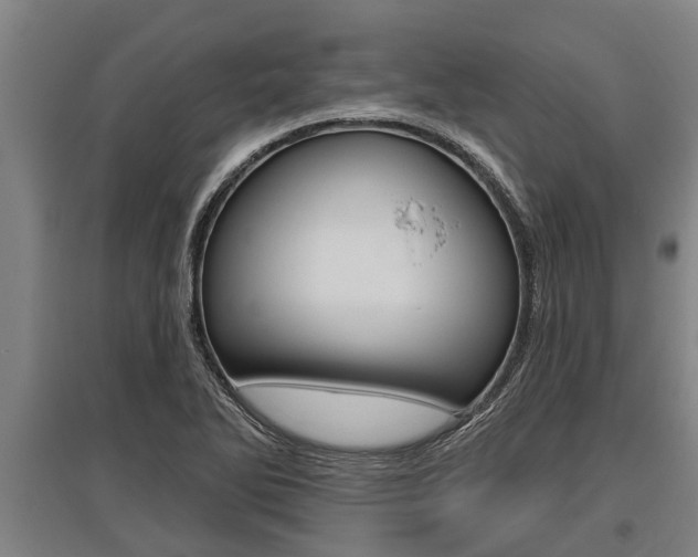 X0000096131270200801180821