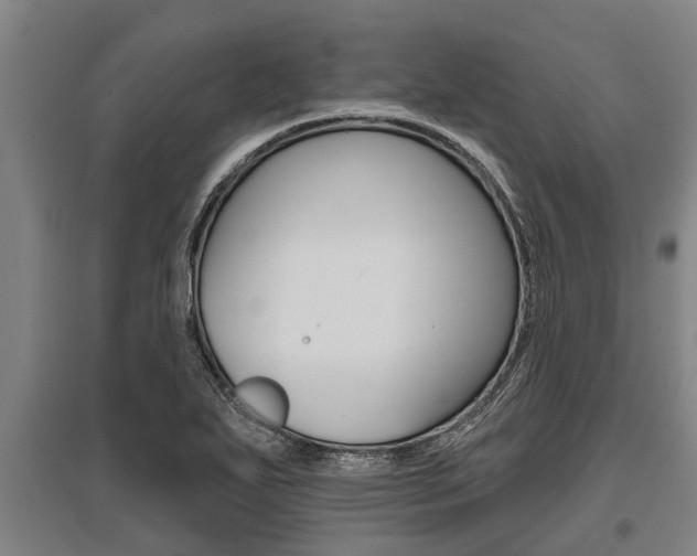 X0000096131271200801180821