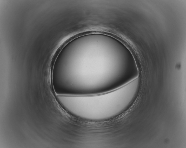 X0000096131272200801180821