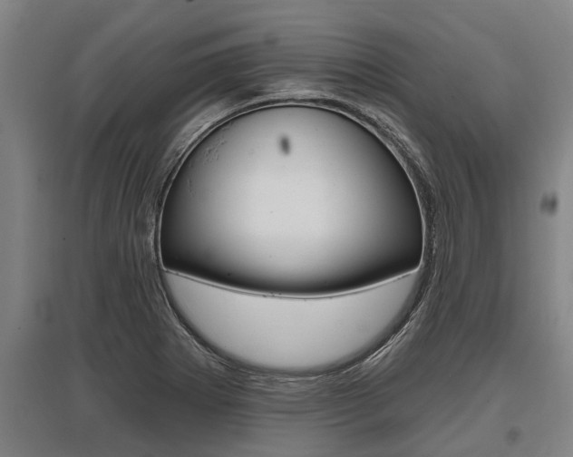 X0000096131273200801180821