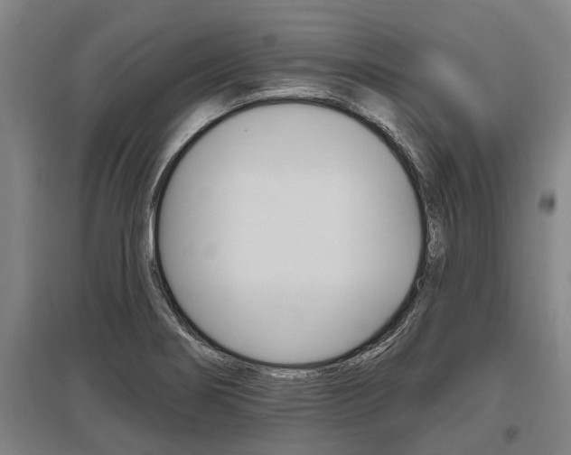 X0000096131274200801180821