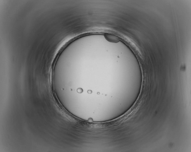 X0000096131275200801180821