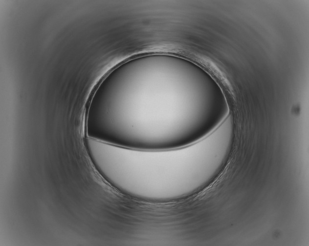 X0000096131276200801180821