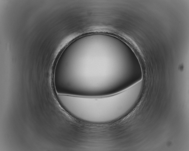 X0000096131277200801180821