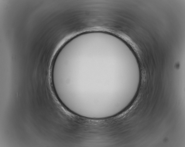 X0000096131278200801180821