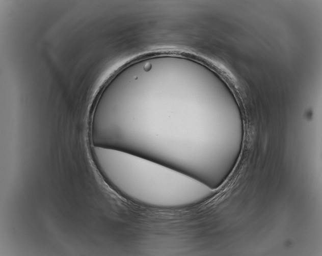 X0000096131279200801180821