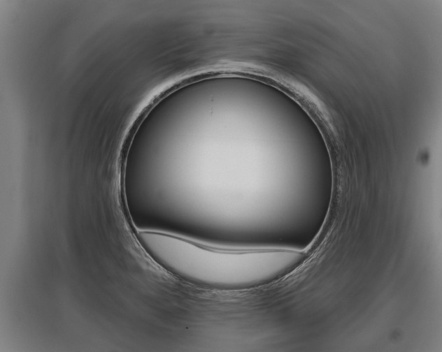 X0000096131280200801180821
