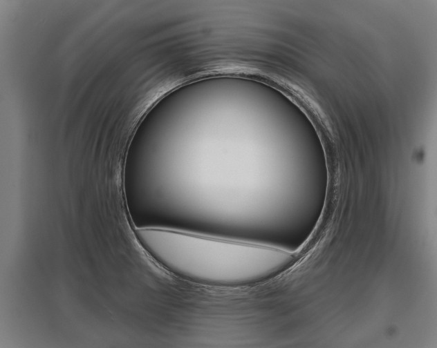 X0000096131281200801180821