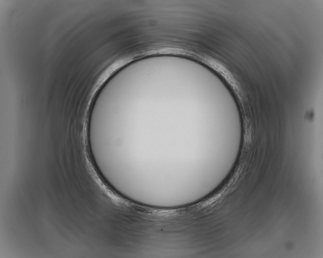 X0000096131282200801180821