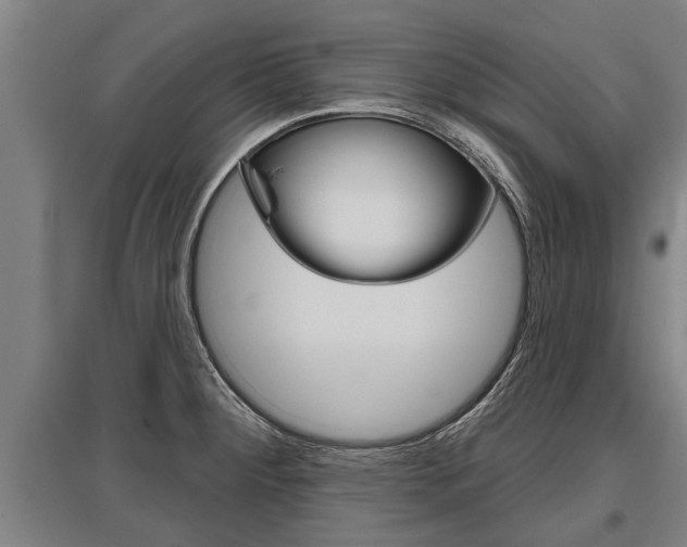 X0000096131284200801180821