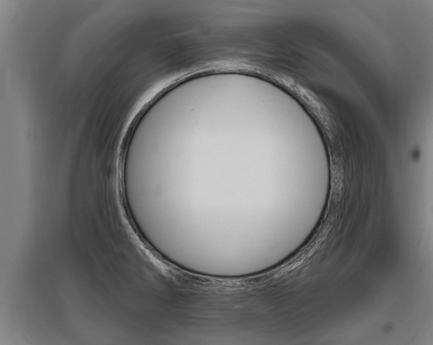 X0000096131286200801180821