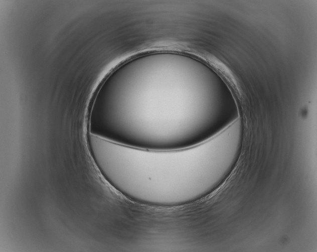 X0000096131288200801180821