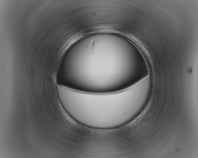 X0000096131289200801180821