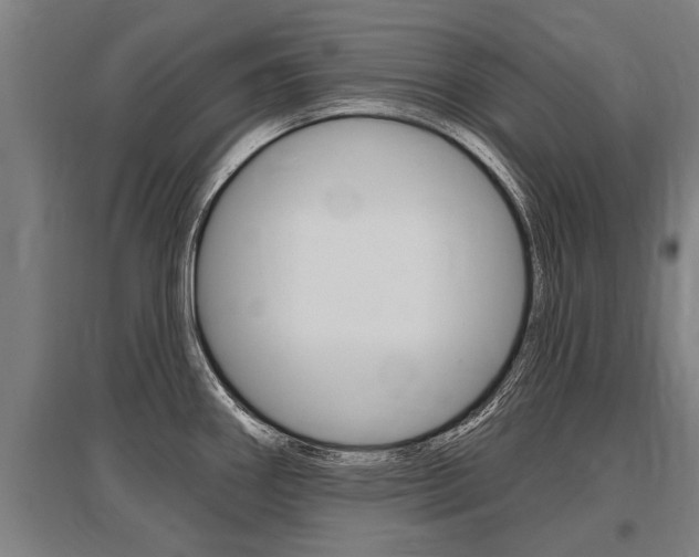 X0000096131290200801180821