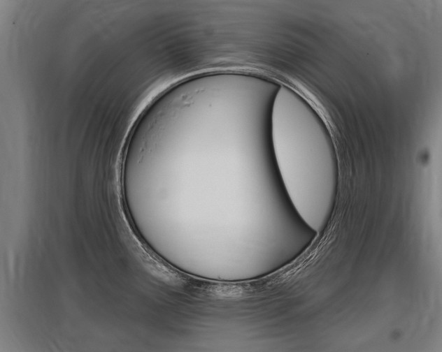 X0000096131291200801180821