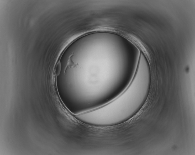 X0000096131292200801180821