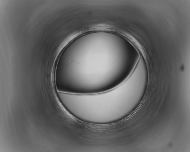 X0000096131293200801180821