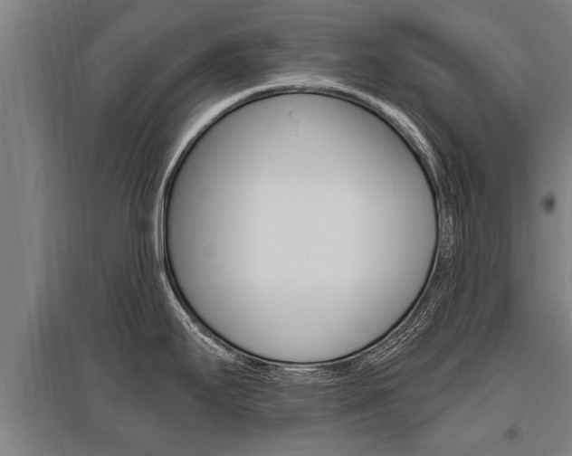 X0000096131295200801180821