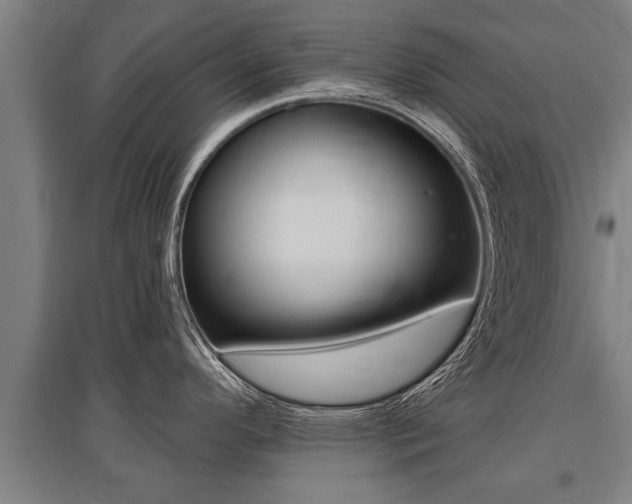 X0000096131296200801180821