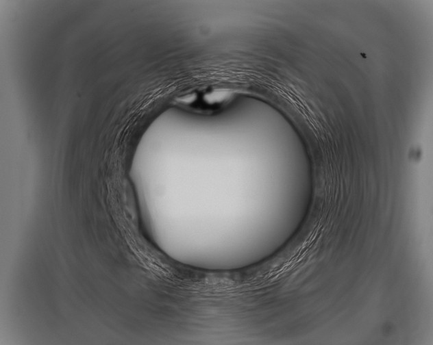 X0000096131297200801180820