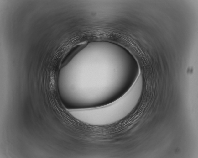 X0000096131298200801180820