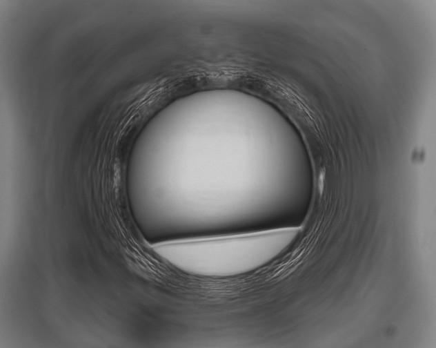X0000096131299200801180820