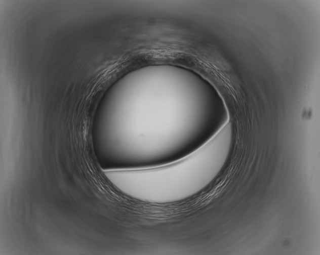 X0000096131300200801180820
