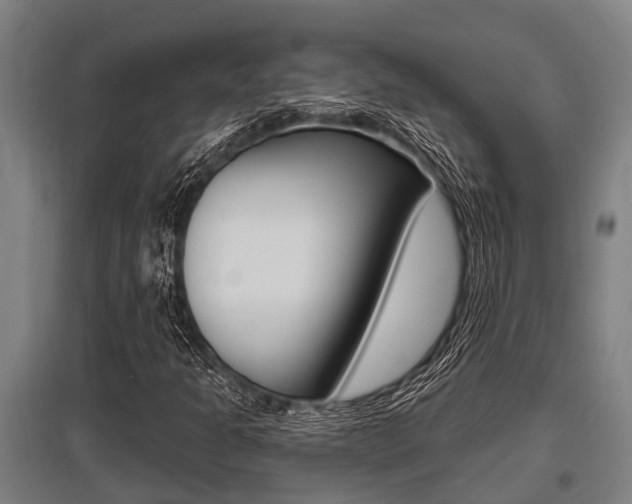 X0000096131301200801180820