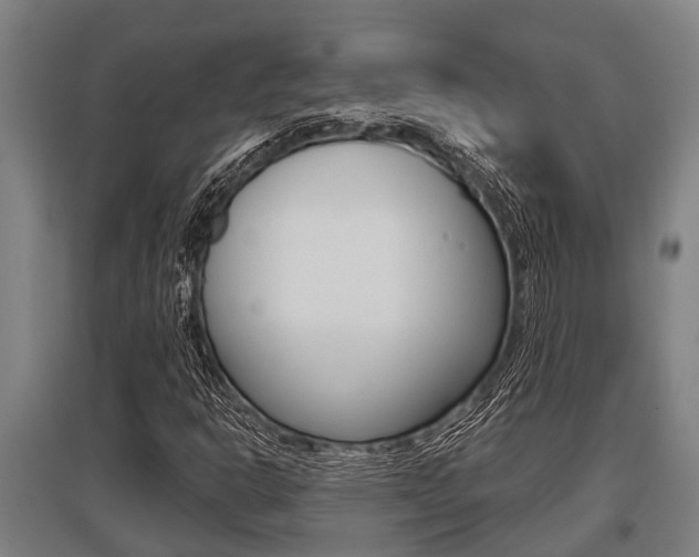 X0000096131302200801180820