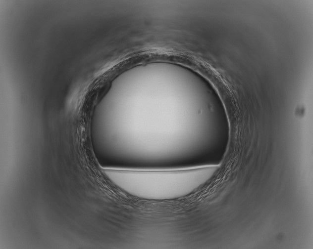 X0000096131303200801180820