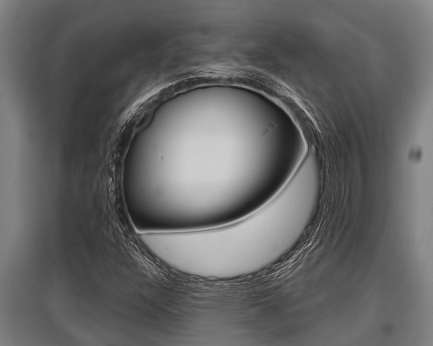 X0000096131304200801180820