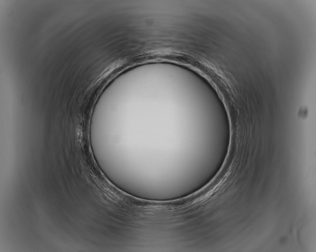 X0000096131305200801180820