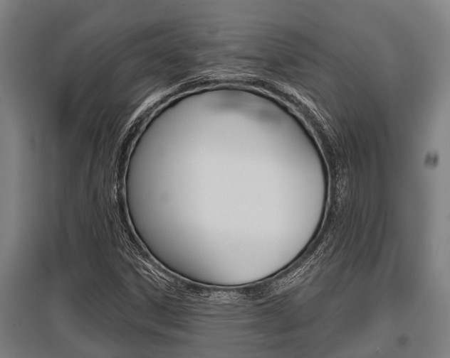 X0000096131306200801180820