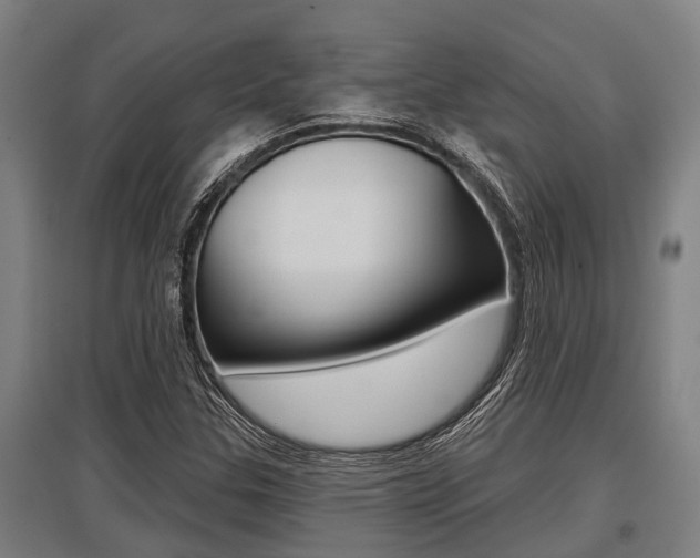 X0000096131307200801180820