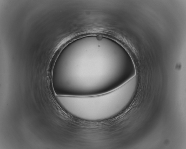 X0000096131308200801180820