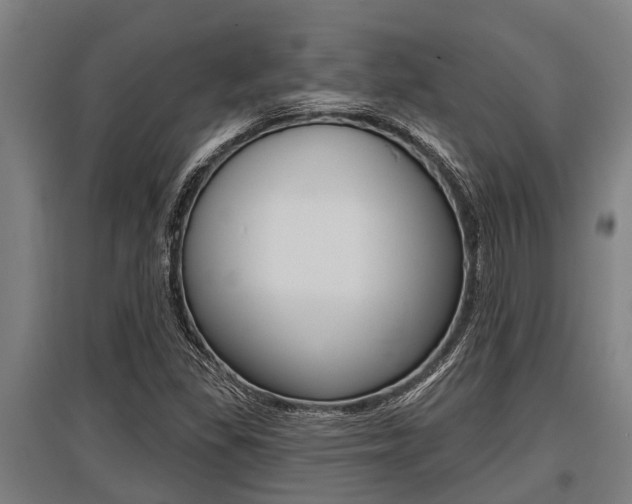 X0000096131309200801180820