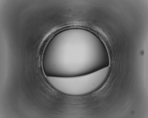 X0000096131310200801180820