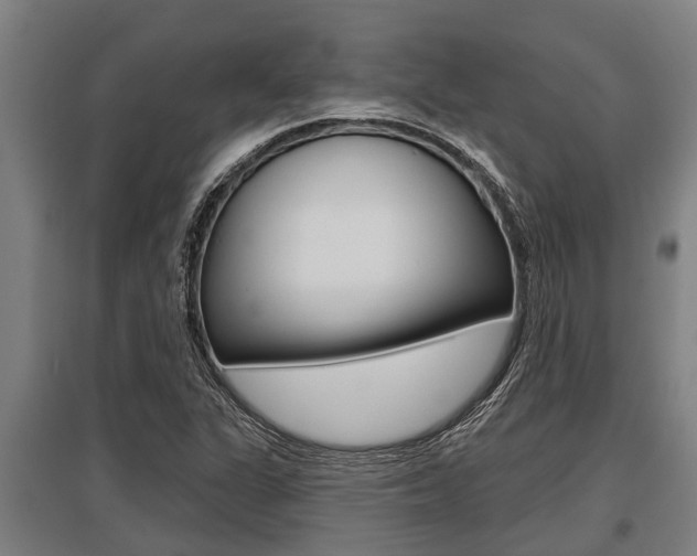 X0000096131311200801180820