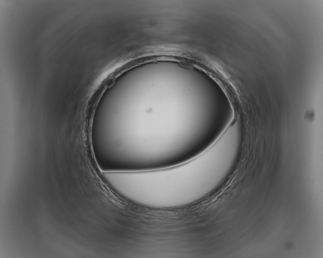 X0000096131312200801180820