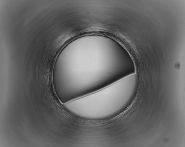 X0000096131313200801180820
