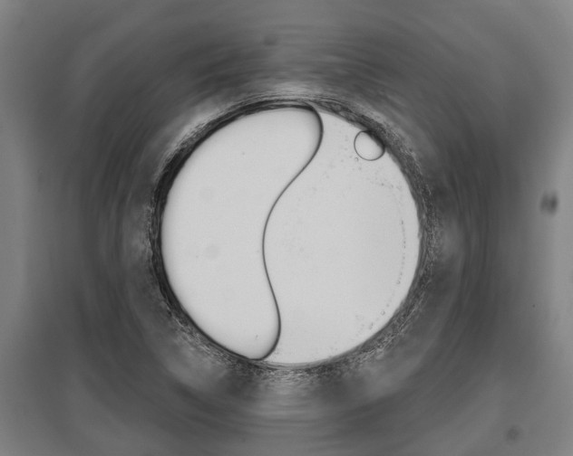 X0000096131314200801180820