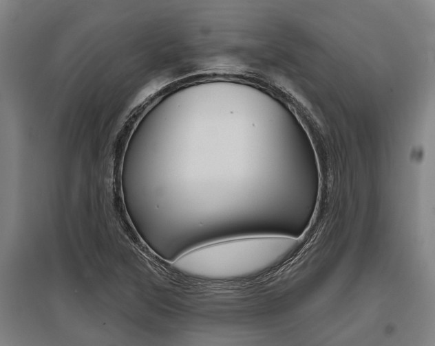 X0000096131315200801180820
