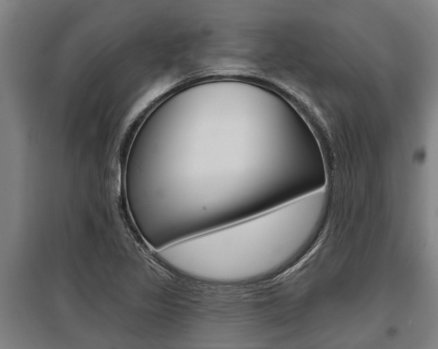 X0000096131317200801180820
