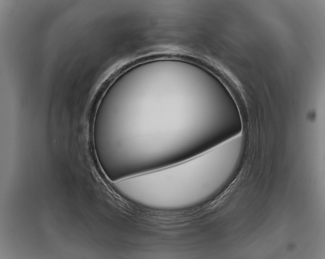 X0000096131318200801180820