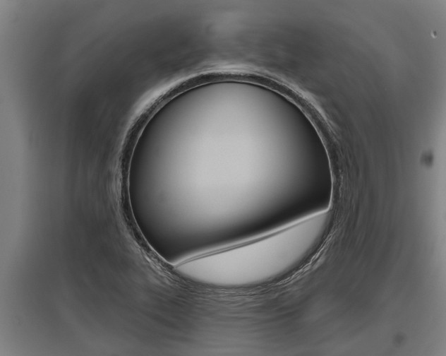 X0000096131319200801180820