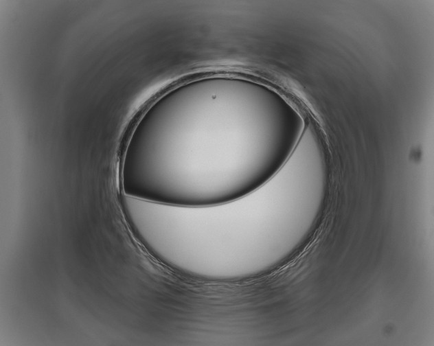 X0000096131320200801180820