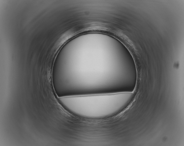 X0000096131321200801180820