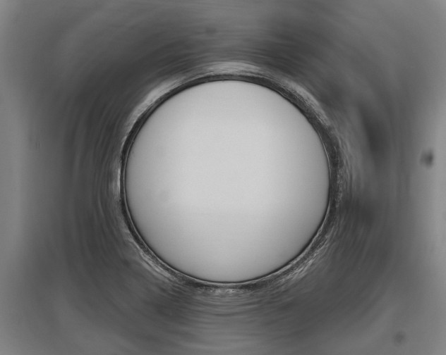 X0000096131322200801180820