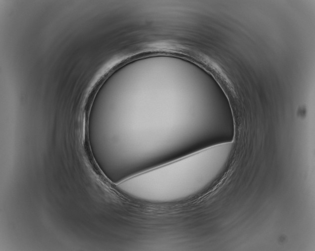 X0000096131323200801180820