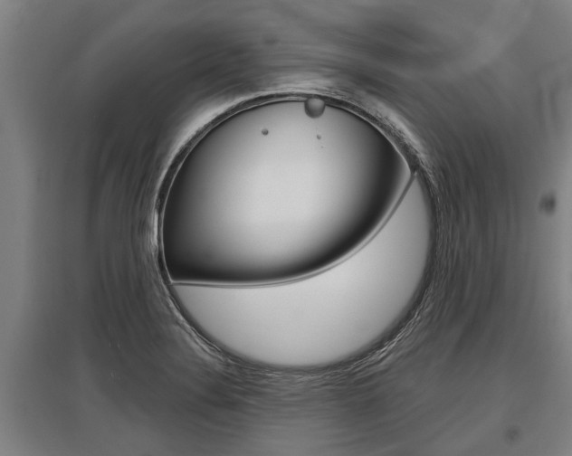 X0000096131324200801180820